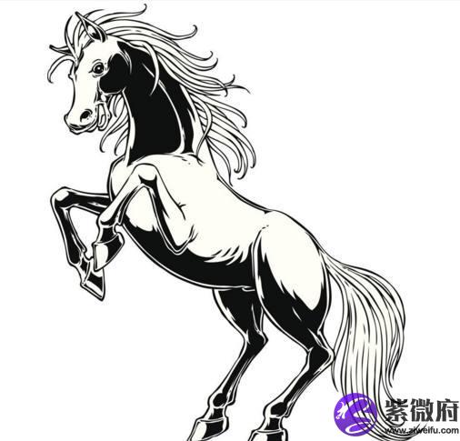 15岁属马的是什么星座