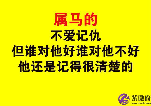 66年属马的啥星座
