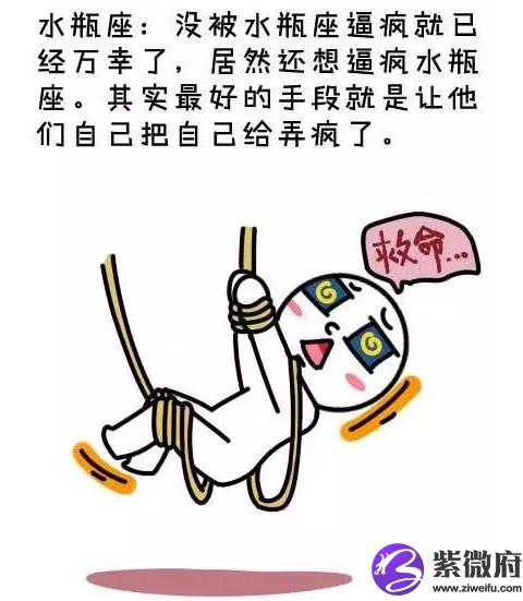 水瓶座