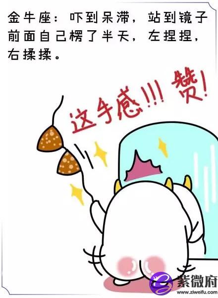 金牛座